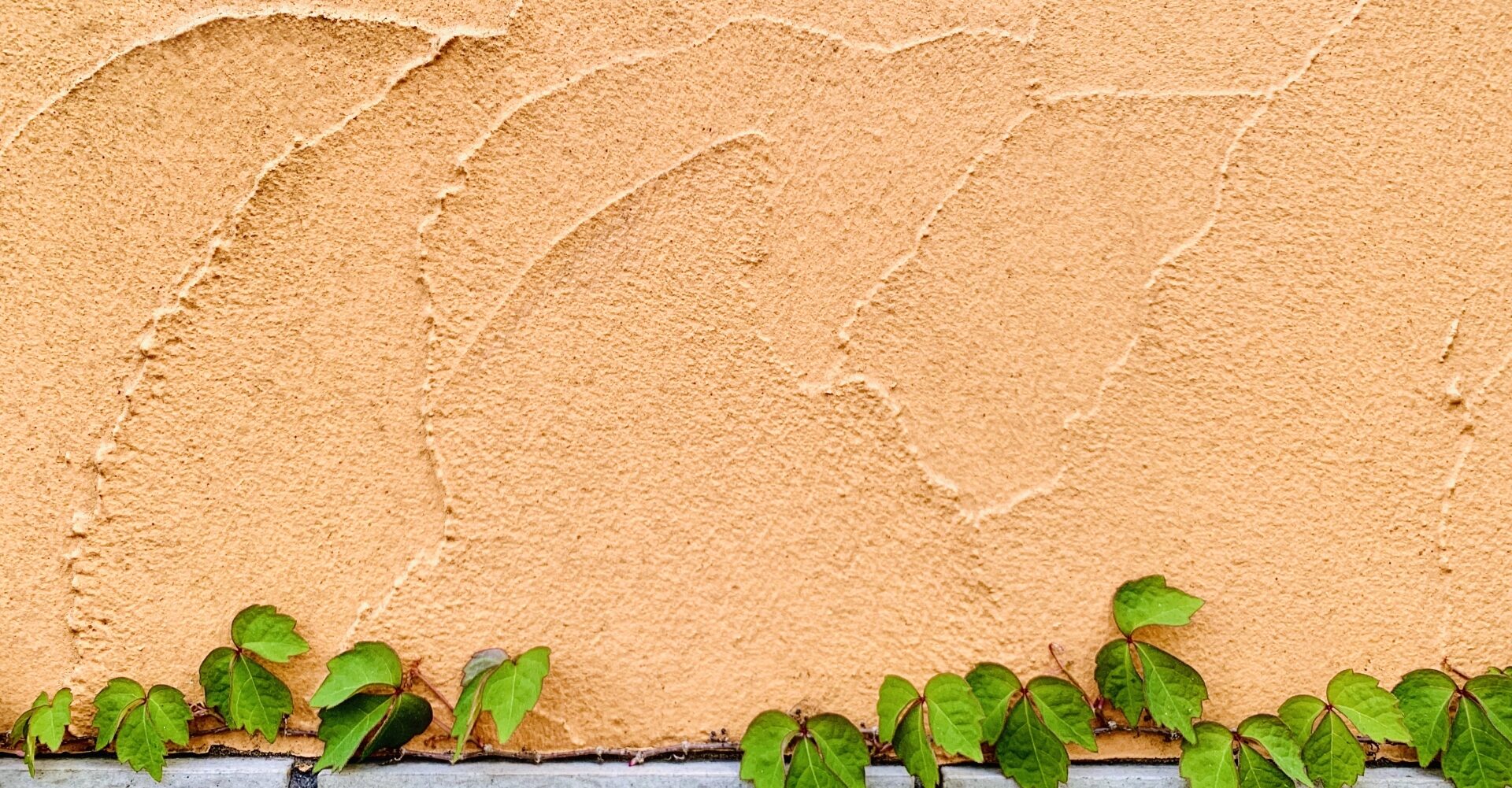 静岡　外壁塗装　外壁